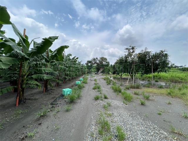 屏東農地-9