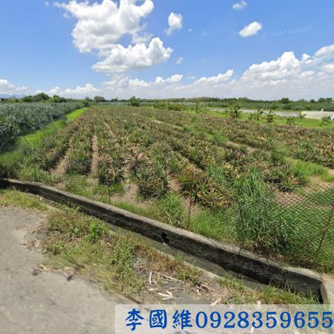 雲林古坑法拍農地-2