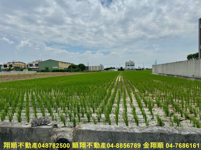福興農地-1