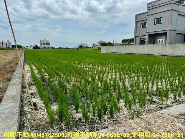 福興農地-2