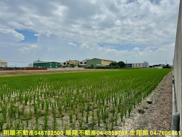 福興農地-3