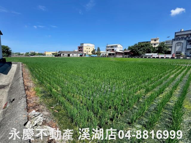 溪湖農地-12