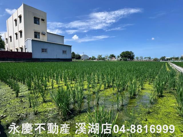 溪湖農地-13