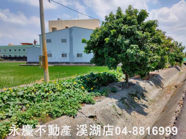 溪湖農地-3