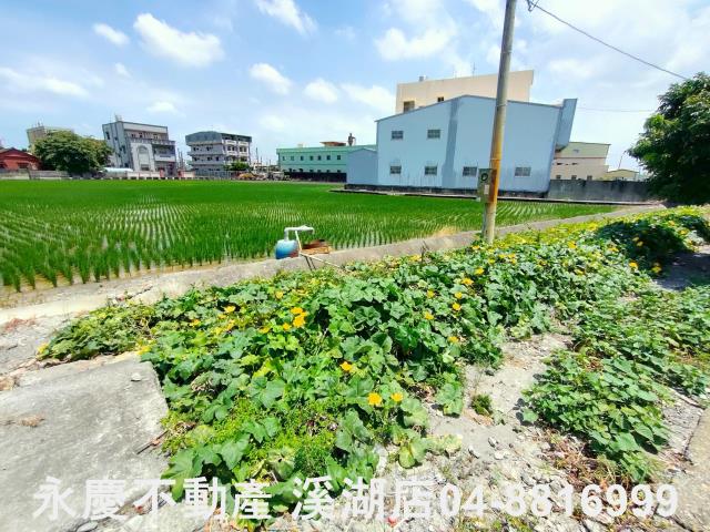 溪湖農地-4
