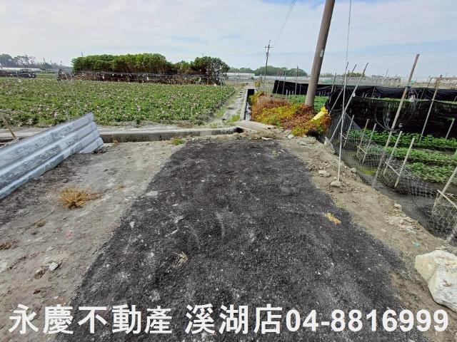 永靖農地-4