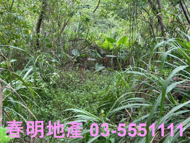關西農地-3