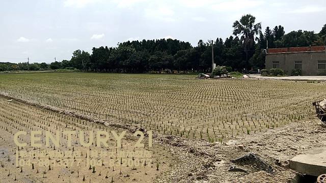 埔鹽農地-3