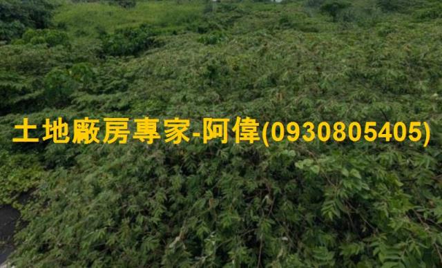 屏東潮州農地-1
