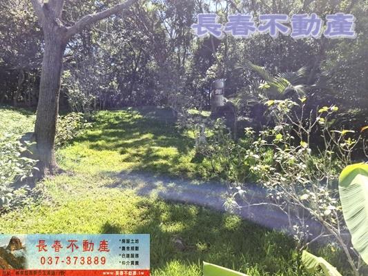 苗栗造橋農地-10