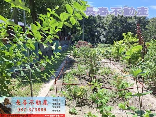 苗栗造橋農地-13