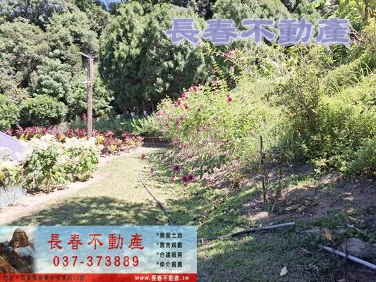 苗栗造橋農地-3