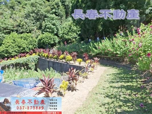 苗栗造橋農地-7