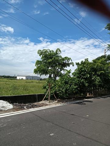 彰化溪州農地-8