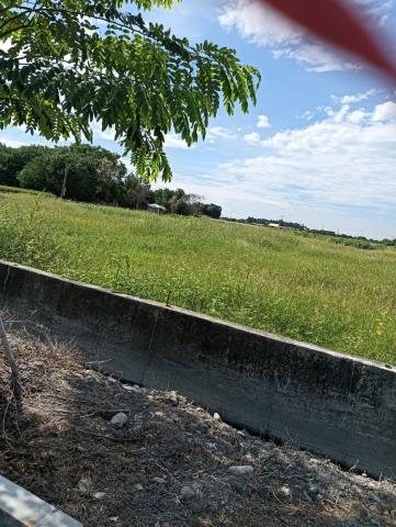彰化溪州農地-9