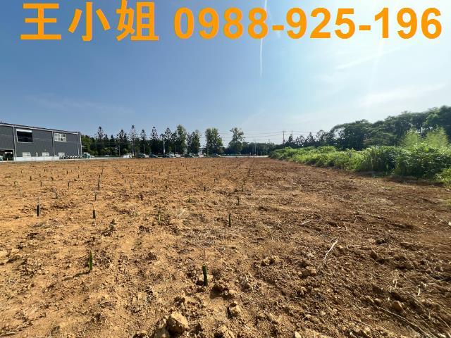 龍潭農地-4