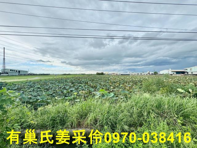 白河農地-10