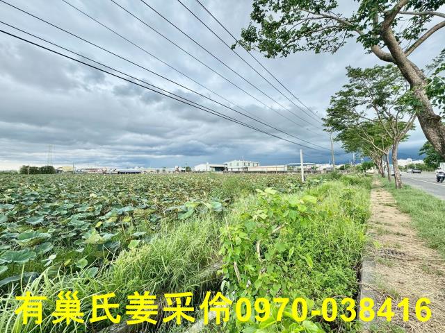白河農地-11