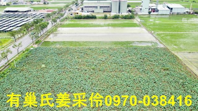 白河農地-15