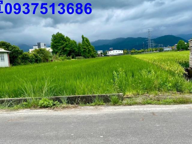 員山農地-1