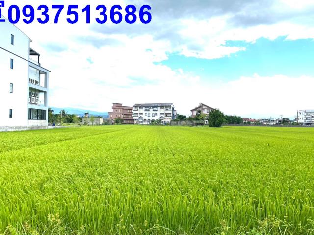 宜蘭農地-10
