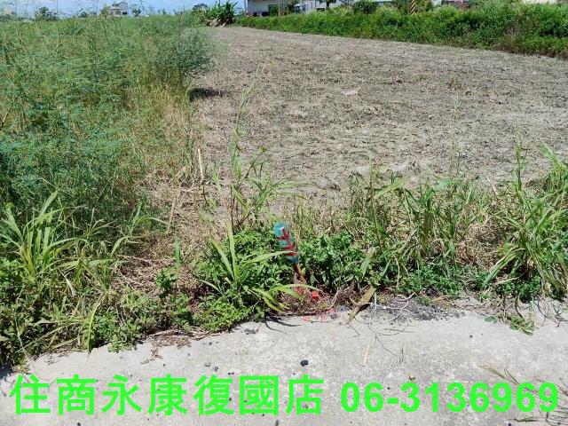 台南鹽水農地-9
