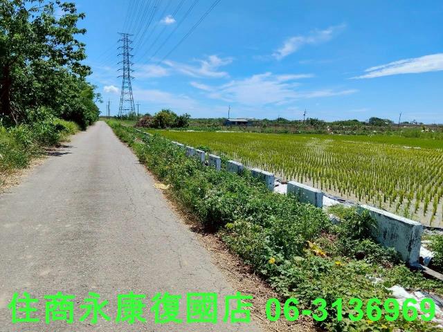 台南柳營農地-8