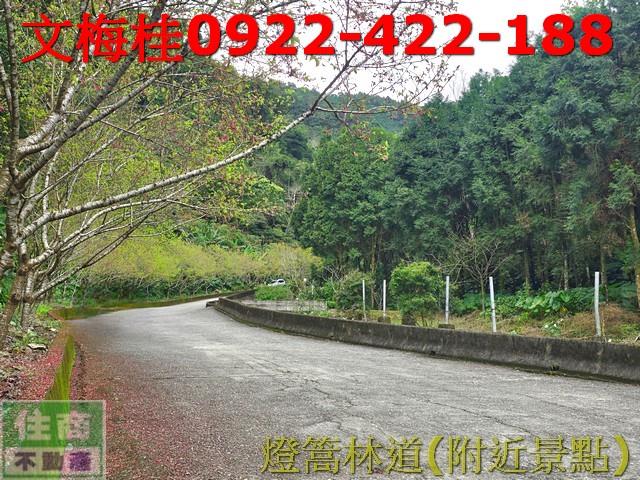 宜蘭員山農地-5