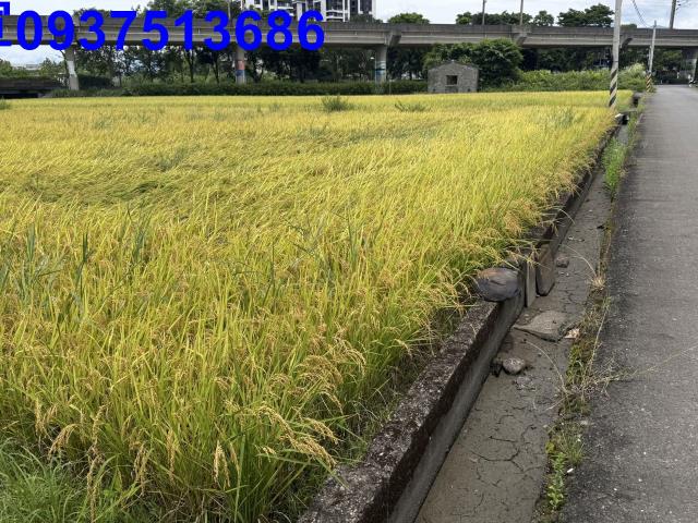 宜蘭宜蘭市農地-10