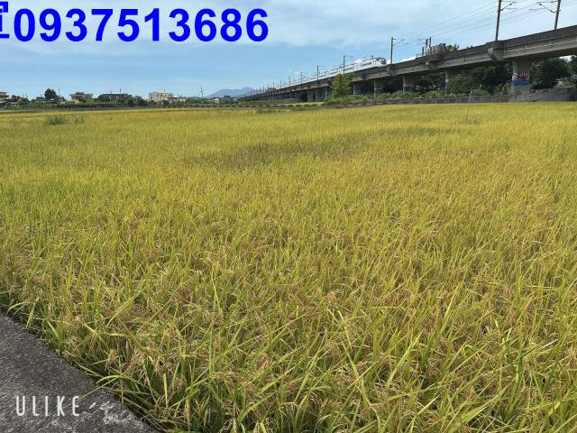 宜蘭宜蘭市農地-5