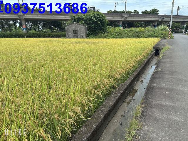 宜蘭宜蘭市農地-1