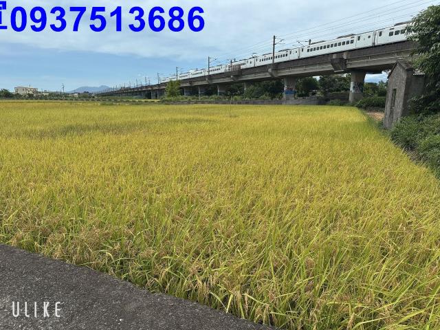 宜蘭宜蘭市農地-6