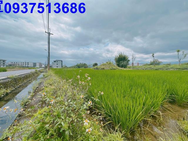 宜蘭宜蘭市農地-3