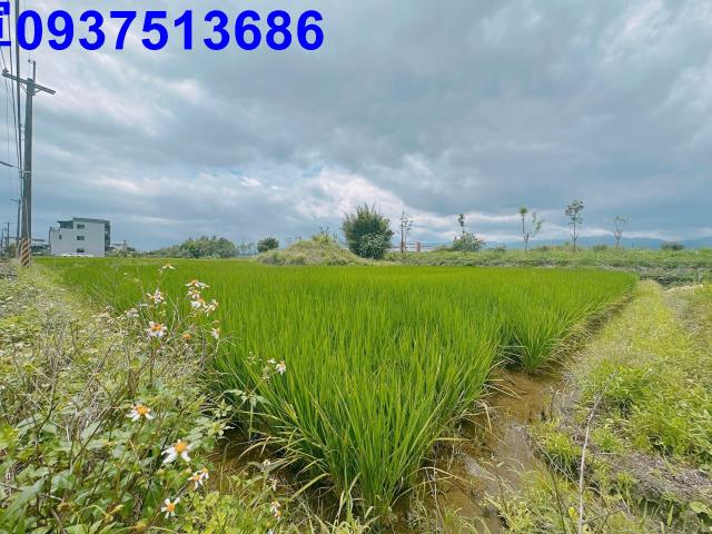 宜蘭宜蘭市農地-4