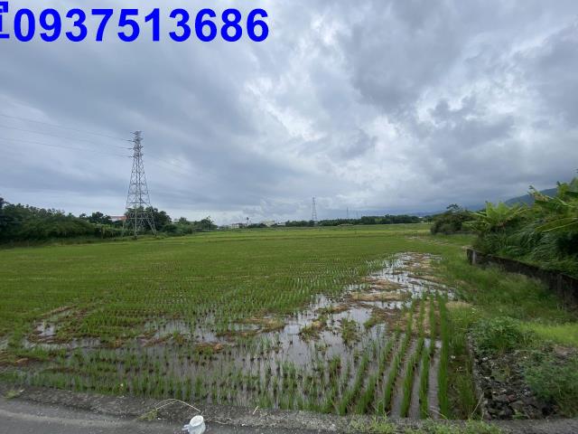 宜蘭頭城農地-3