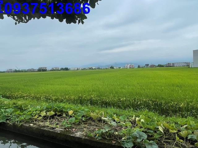 壯圍農地-10