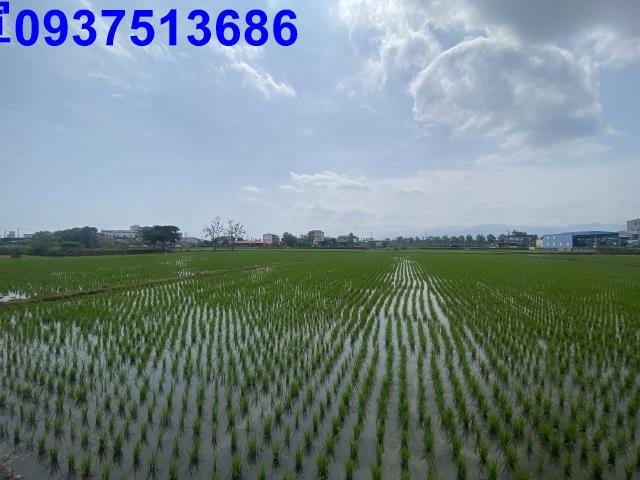 員山農地-11