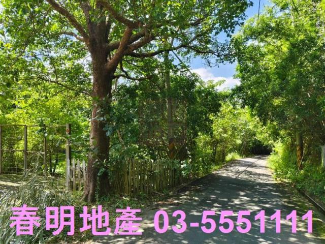 寶山農地-5