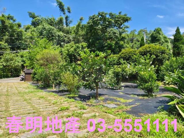 寶山農地-7