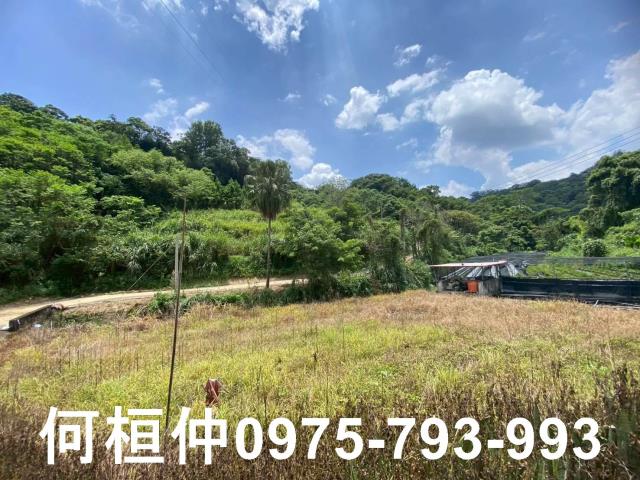 苗栗休閒地-1