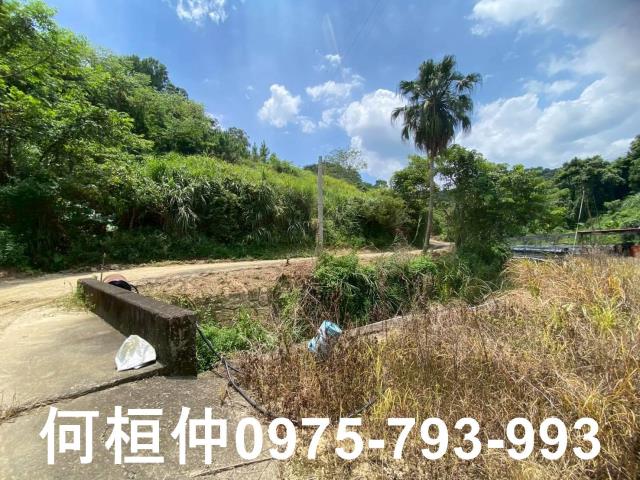 苗栗休閒地-3
