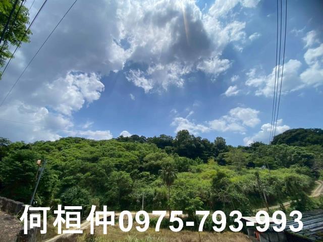 苗栗休閒地-6