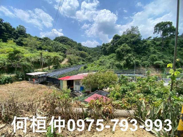 苗栗休閒地-9