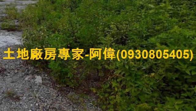 高雄農地-1