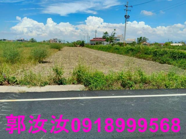 台南鹽水農地-4