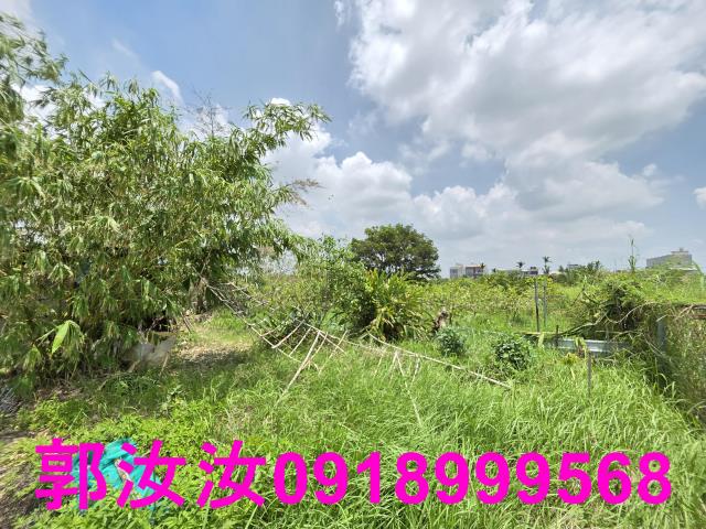 台南六甲農地-7
