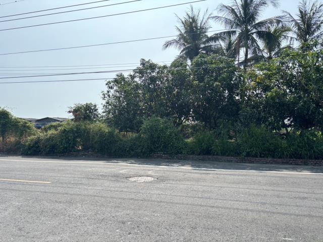 高雄彌陀農地-3