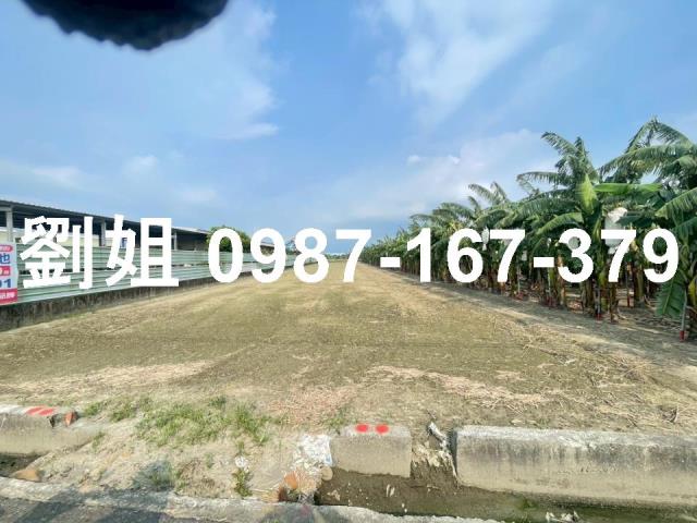 大寮農地-2