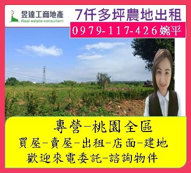 楊梅農地-1