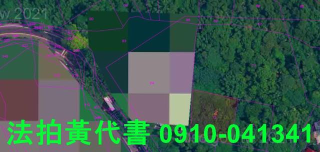 士林建地法拍-11